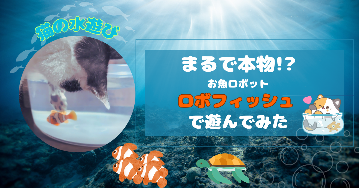 猫の水遊び.png.webp