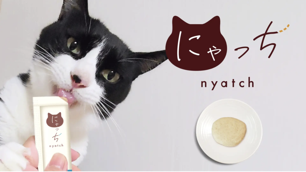 2026年7月最新】猫の試供品まとめ！餌やおやつ・猫砂のサンプルが