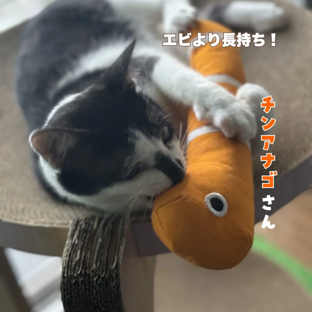 荒縄　排泄 