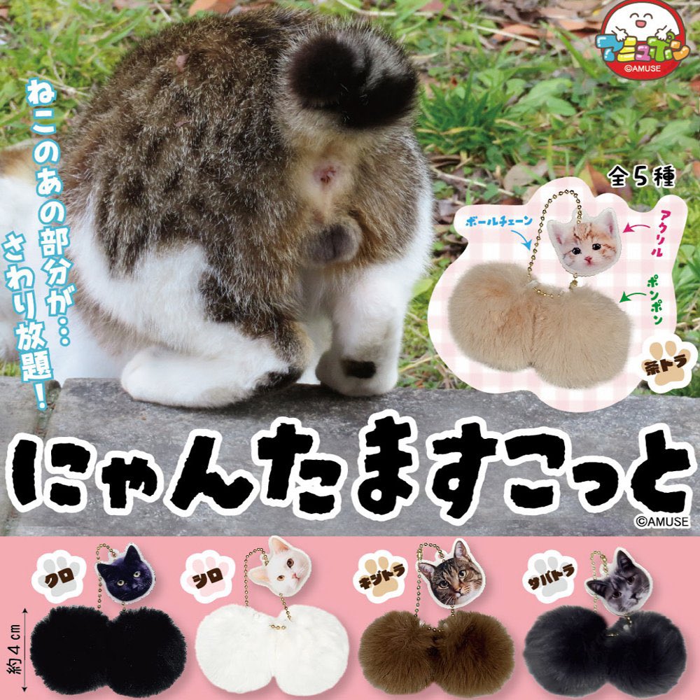 にゃんたますこっと