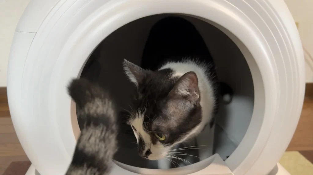 mirutoの自動猫トイレを正直レビュー！｜掃除・レンタル・解約まで徹底