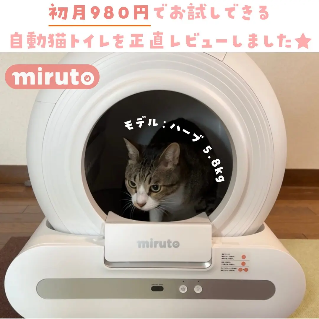 猫用全自動トイレ「PetSnowy（ペットスノーイー）」半年使用して