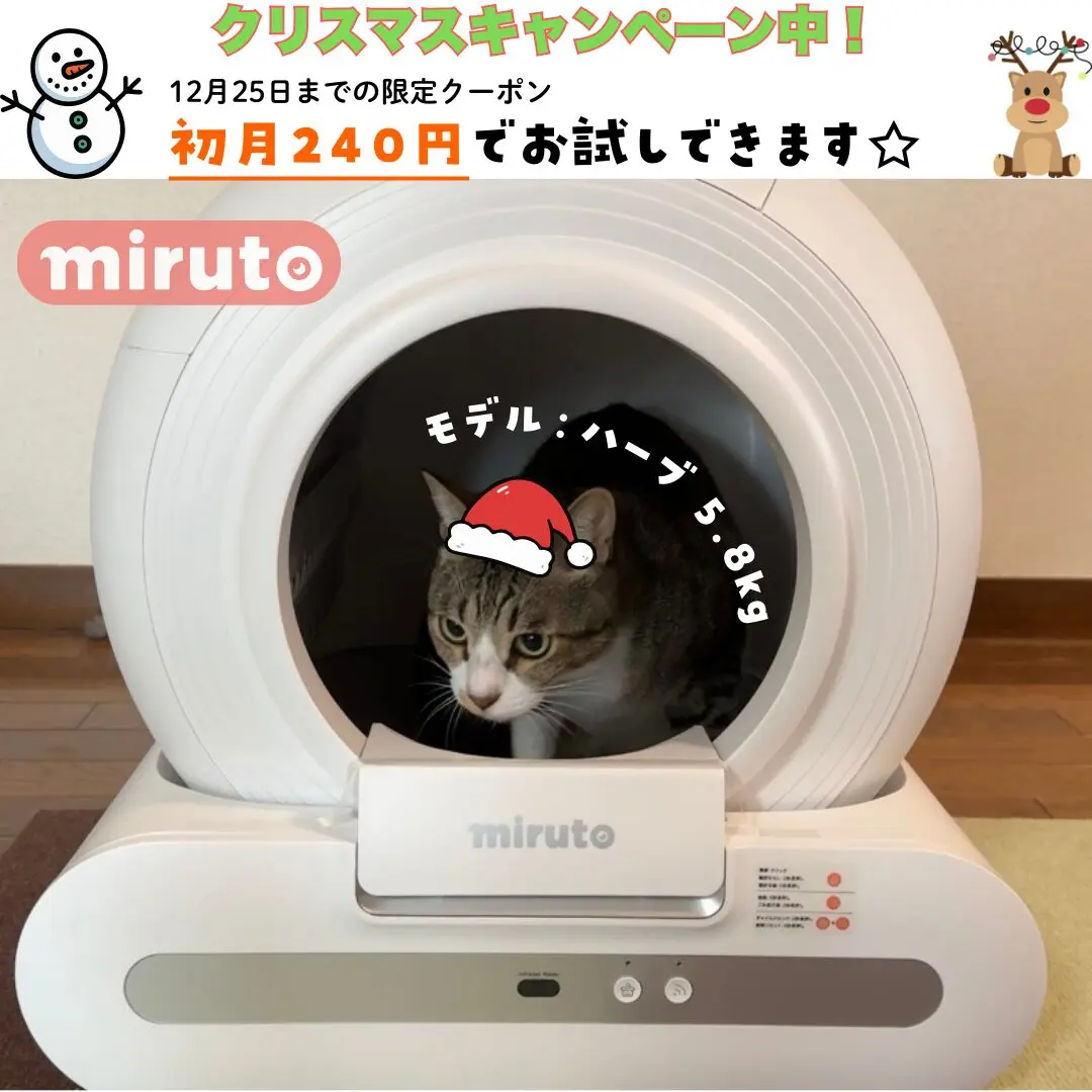 猫用全自動トイレ「PetSnowy（ペットスノーイー）」半年使用しての