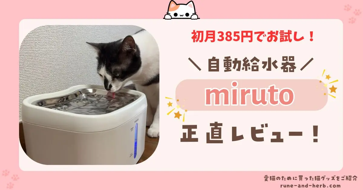 猫の自動給水器を初月385円でお試し！miruto【モニタリング自動給水器
