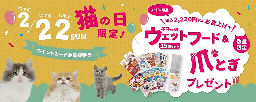 ペットのコジマ「猫の日プレゼント企画」
