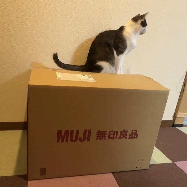 無印良品の猫トイレの梱包