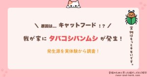 タバコシバンムシの発生源とキャットフードを調査した記事
